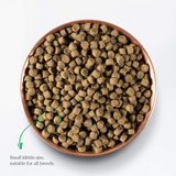 Open Farm Pasture-Raised Lamb & Ancient Grains Dry Dog Food